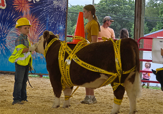 A young showman stands with a miniature Hereford calf at the Rock Island County Fairgrounds.