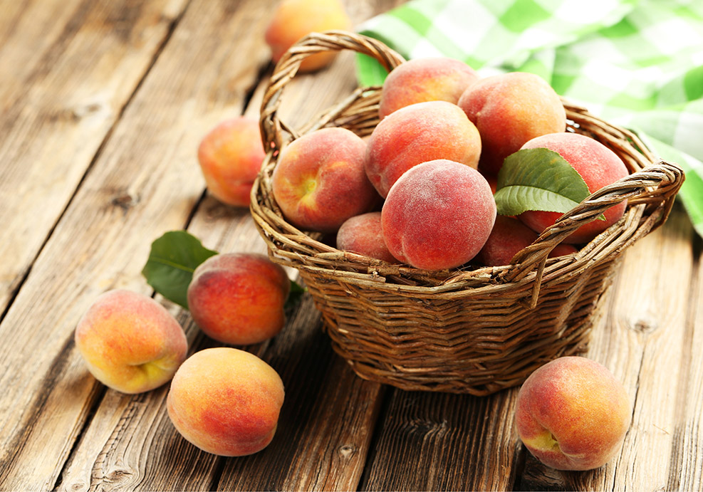 The Lexington County Peach Festival is Gilbert, South Carolina’s, main fundraiser for scholarships, park improvements and more.